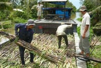KL99 là cổng game giải trí trực tuyến hàng đầu hiện nay mía đường có EPS cao