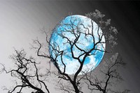 Ai không sợ tháng ngâu?