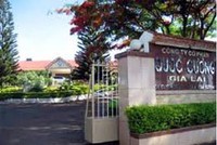 Em gái Quốc Cường vay công ty 20 tỷ đồng mua đất
