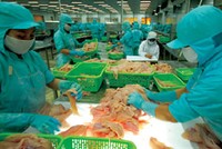 SHB liệu có "bình an" với Bianfishco?