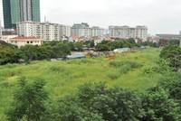 Hà Nội kiến nghị thu hồi trên 3.400 m2 đất hoang