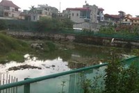 Mua nh脿 409 L末nh Nam c峄 C么ng ty H岷?Long, kh谩ch c贸 nguy c啤 m岷 tr岷痭g