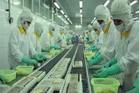 FMC: Từ đầu quý III đã có lãi