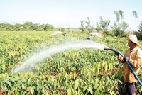 9 tháng, DN cao su tự nhiên đạt Kl99 nổ hũ khả quan