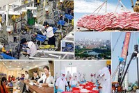 Chờ thêm “điểm nổ” tái cơ cấu