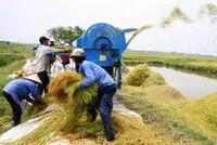 Nhận diện cơ hội Kl99ok phiên bản mới vào ngành nông nghiệp