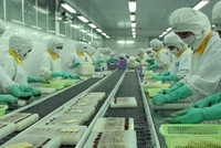 FMC: 10/11, ĐHCĐ bất thường bàn việc tăng vốn