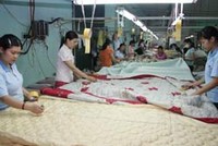 EVE dự kiến bổ sung ngành nghề Kl992 VIP Trang Chủ 2026 mới