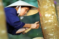 HRC sẽ “cài số lùi” trong 2 năm tới