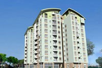 TDH chuyển nhượng toàn bộ vốn góp ở Song Đức