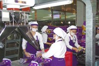 Vinamit thắng kiện tranh chấp thương hiệu tại Trung Quốc