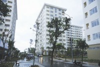 Nhà thu nhập thấp hứa hẹn chỉ 8 triệu đồng/m2