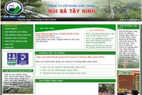 Tanitour đạt doanh thu 114,9 tỷ đồng năm 2012