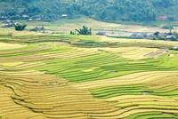 Nhận diện khó khăn để vững bước 