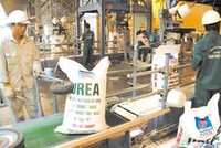 DPM tăng cường cung ứng hàng trong dịp Tết