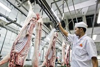 DN ngày càng ít dùng vốn vay Link Vào Nhà Cái KL99 COM Tặng +199k