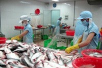 Quý I, HVG hoàn thành 18% kế hoạch Kl99 nổ hũ