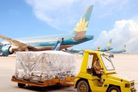NoiBai Cargo dự kiến trả 99Kl.app mobile mới nhất 160%