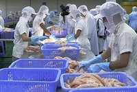 Thủy sản Phương Nam đặt mục tiêu trong năm nay đạt kim ngạch xuất khẩu 25 triệu USD.(Ảnh: Internet)