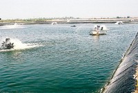 Sửa Hiến pháp trước, Luật Đất đai sau