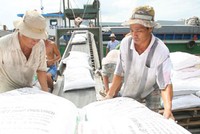 TPG và Masan: Thâm tình thêm chặt