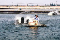 Khi Kl99kl phiên bản hoạt động từ chối khách hàng