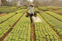 Quỹ tín dụng phát huy vai trò cấp vốn nhỏ tốt hơn Link Vào Nhà Cái KL99 COM Tặng +199k