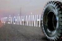 Casumina tập trung cho xuất khẩu