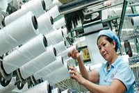 TCM: 8 tháng ước lãi 80 tỷ đồng