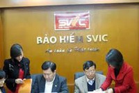 Kl99kl phiên bản hoạt động SVIC có tên mới