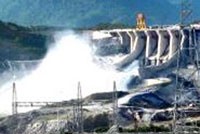 DLG đạt doanh thu 300 tỷ nửa đầu năm