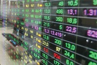 Nhiều DN bị nghi ngờ khả năng hoạt động liên tục