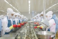 MPC: Kl99 nổ hũ sẽ cải thiện đáng kể  