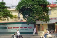 8 tháng, MIC đạt Kl99 nổ hũ trước thuế 30 tỷ đồng 