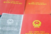 Chủ tịch HĐQT và giám đốc "rủ nhau" ăn cơm tù
