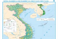 ECI tung báo cáo tốt sau mùa khai giảng