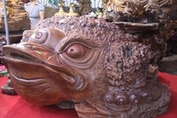 Lên Thái Nguyên mua gốc cây trăm triệu