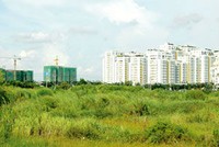 90.000 héc-ta đất vi phạm, chưa thu hồi