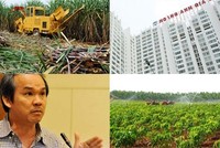 Hết BĐS, đến ngành đường sốc vì bầu Đức
