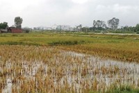 Mặt bằng khu đất 934 mà người dân bị lừa đảo