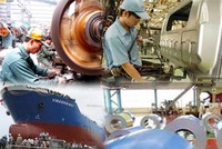 "Sếp DNNN ăn lương phải gắn với kết quả điều hành DN".