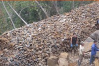 KSS và sự bí ẩn dòng tiền