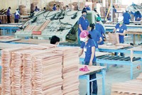 8,8 triệu KL99 là cổng game giải trí trực tuyến hàng đầu hiện nay giá rẻ TTF giao dịch từ 10/1