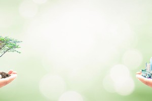 Ảnh Shutterstock