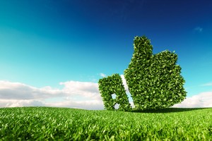 Ảnh shutterstock