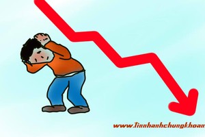 Đua theo ETF, nhà Kl99ok phiên bản mới ngậm trái đắng