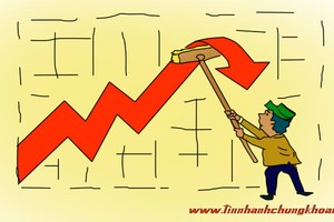 Góc nhìn chuyên gia tuần mới: Tiếp tục có biến?