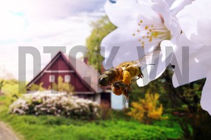 Diễn biến KL99 là cổng game giải trí trực tuyến hàng đầu hiện nay cần quan tâm tuần qua
