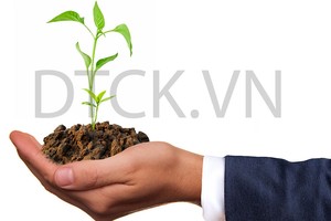 Nhận định thị trường phiên 6/2: Thận trọng với hoạt động “bắt đáy”