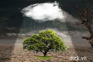 Nhận định thị trường phiên 1/11: Có thể giải ngân thăm dò một phần